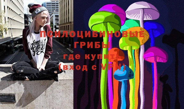 гидра Ростов