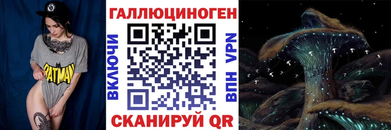 купить наркотики цена  Нефтегорск  Псилоцибиновые грибы Cubensis 